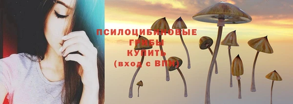 амф Инта