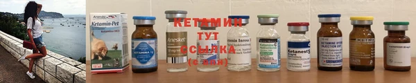 амф Инта