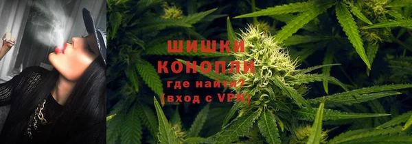 гашик Иннополис