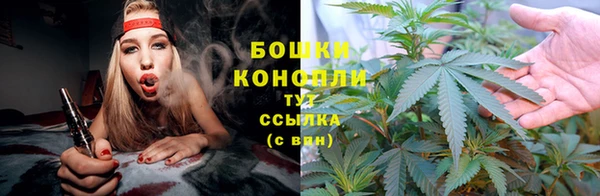 амф Инта